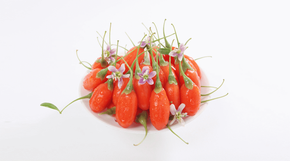 IMG_5828.JPG IMG_5828.JPG