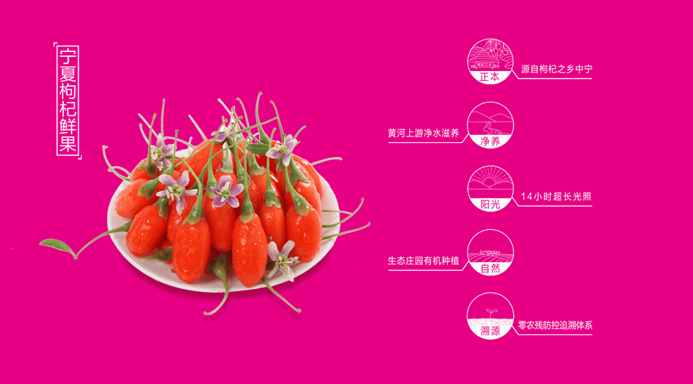 14591664939598692.jpg 14591664939598692.jpg