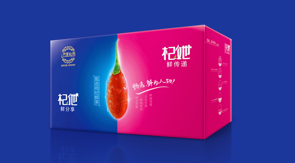 迪雀副副本.jpg 迪雀副副本.jpg